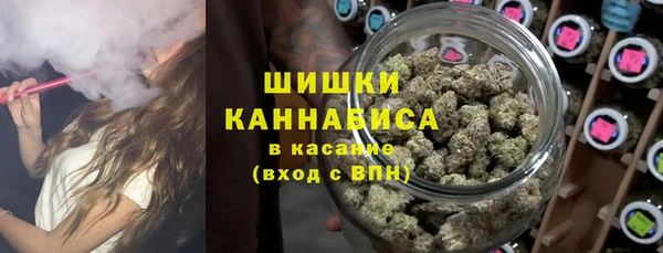 молекула духа Волоколамск